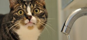 Запасайся: пригороды Одессы оставят без воды