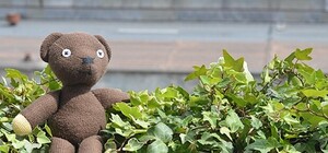 Прочитано о Харькове: что пишут и говорят о городе утром 16 июня