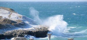 Работники заповедника 