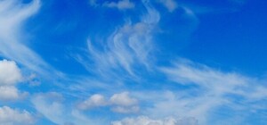 Яблоки, пироги, мастер-классы: в Пирогово отметят Медовый Спас