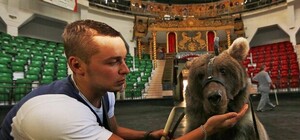 Аксенов показал, как вырос мишка, подаренный Кадыровым [Фото]