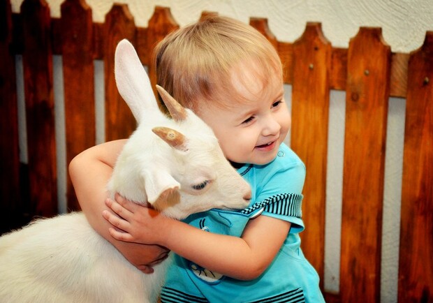 Новость - Досуг и еда - В Киевском зоопарке проведут уроки с животными для детей