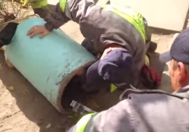Новость - События - Видео дня: как киевские спасатели доставали мальчика из бетонной мусорки