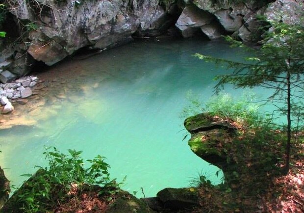 Фото: facebook.com/igotoua