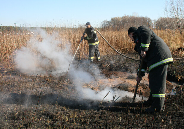Новость - События - Говорят спасатели: торфяники под Киевом горят из-за умышленного поджога
