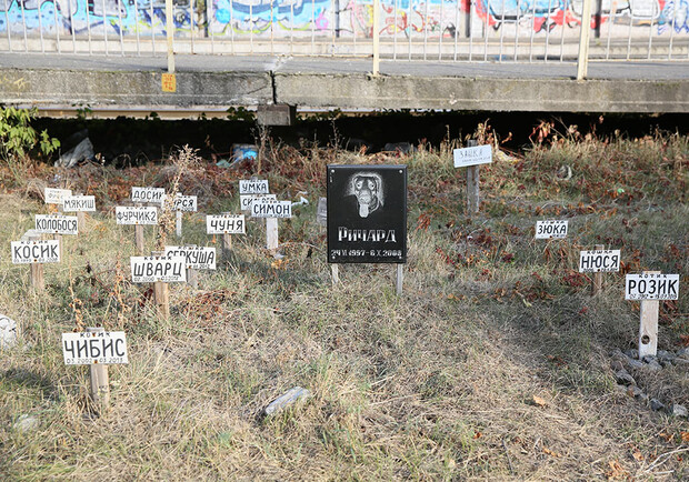 Новость - События - Российский блогер высмеял кладбище домашних животных на Русановке