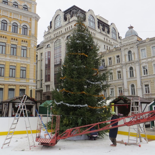 Новость - События - Живая и пышная: в Киеве установили первую елку