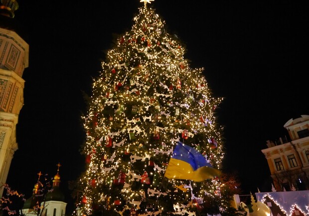 Новость - Досуг и еда - В Киев везут главную новогоднюю елку: какой она будет