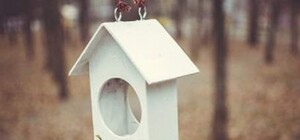 Птичья зима: одесситы смастерили оригинальные скворечники