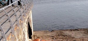 В Одессе загорают на пляже