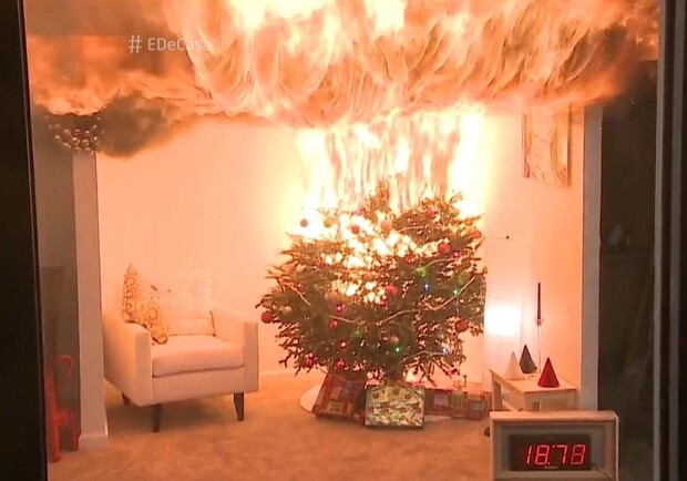 Новость - События - Экстремальный Новый год: киевляне тушили горящие елки и спасали котов