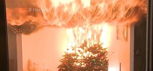 Экстремальный Новый год: киевляне тушили горящие елки и спасали котов