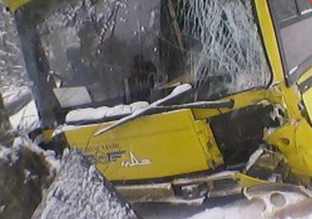 Новость - События - В Киеве автобус врезался в дерево, пятеро пострадали
