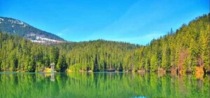 Через 10 років Карпати можуть повністю зникнути (відео)