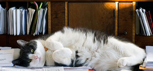 Что делать с коммунальными платежами и картой киевлянина в связи с банкротством банка 