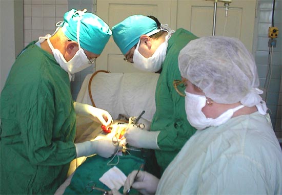 Американские коллеги приехали делиться опытом с украинскими врачами. Фото с сайта: http://www.slavsk.info