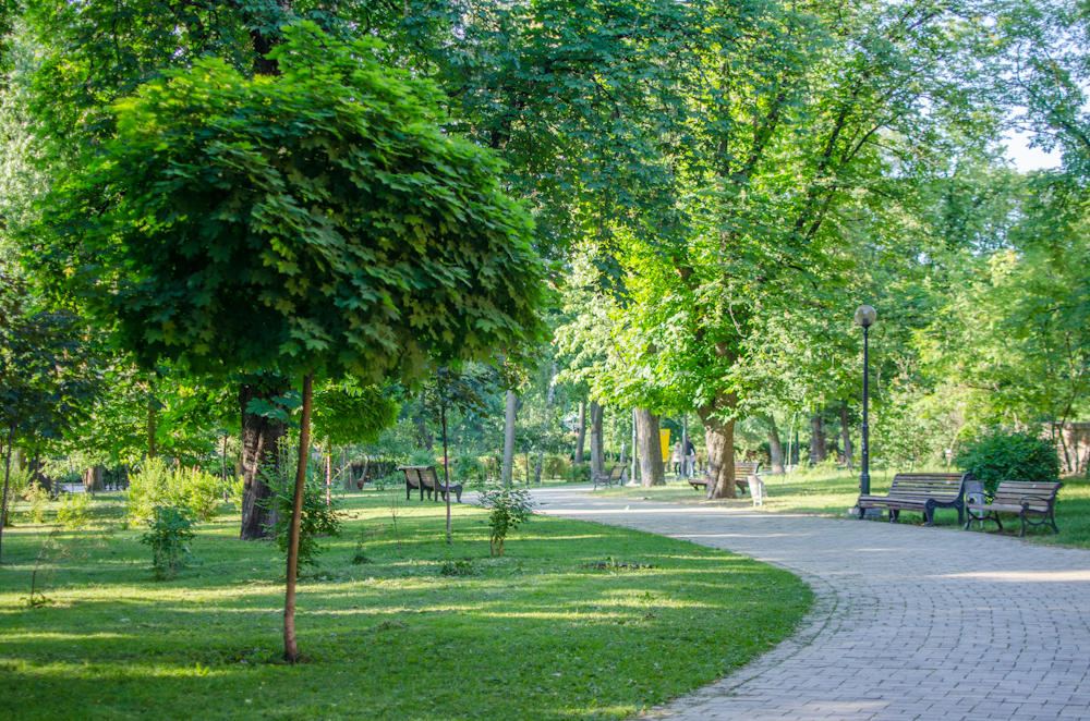 Новость - События - Стало известно, сколько парков и скверов отремонтируют в Киеве в этом году