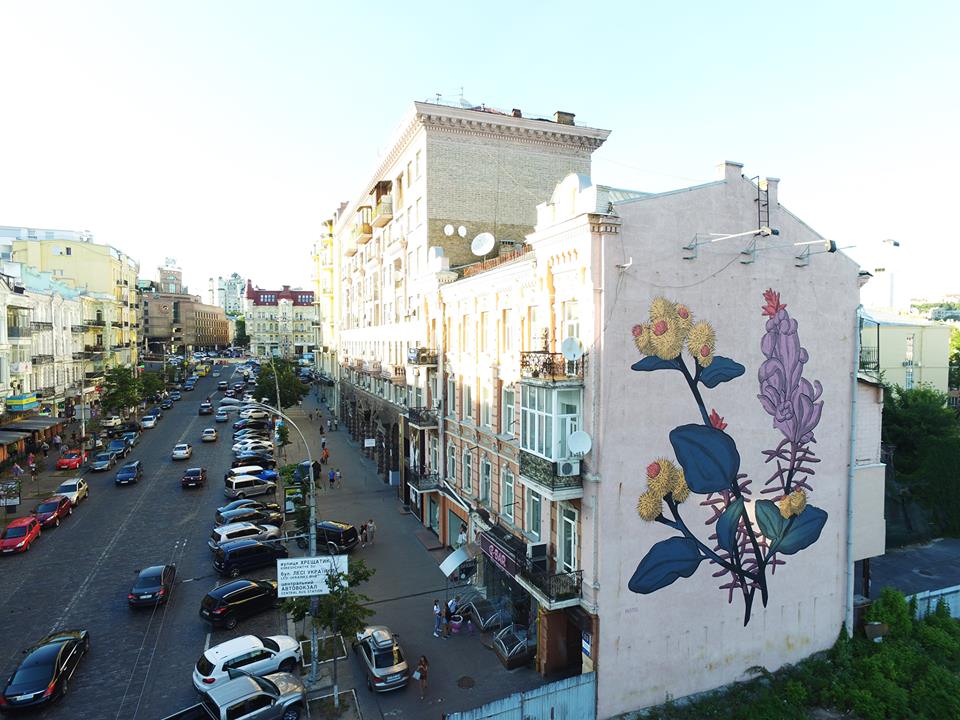 Новость - События - Фотофакт: в центре Киева появился новый "крестьянский" мурал