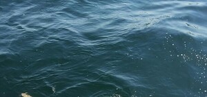 Джамала выставила фото своего отдыха в Одессе