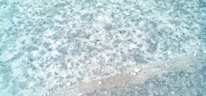 В Киеве на станции метро разлили опасную ртуть