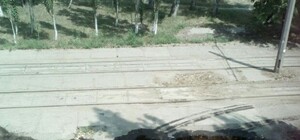 Зловоние на Слободке: из канализации на тротуар льется горючее масло