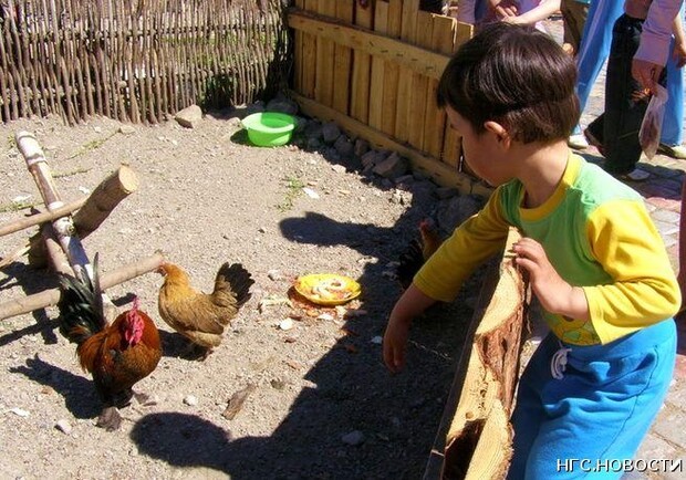В контактном зоопарке дети могут приобщиться к природе.
Фото с сайта ngs24.ru