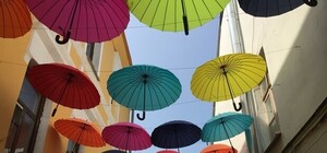 Новое место для селфи: откуда в Харькове взялась аллея 