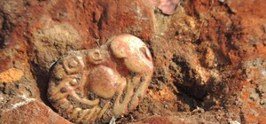 Полюбуйся: на Полтавщине нашли золото скифов