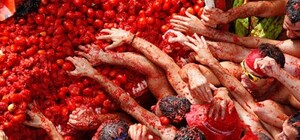 Томатная битва: одесситы будут кидать друг в друга помидоры