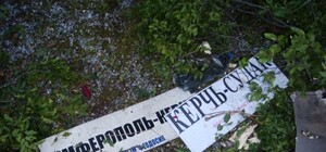 Страшная авария в Судаке: автобус с пассажирами сорвался в обрыв. Число погибших увеличилось до 6 человек [Фото] [Видео]