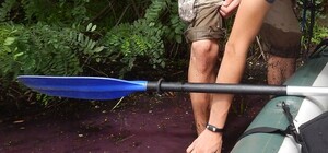 Экологическая катастрофа в Киеве: на Жуковом острове вода окрасилась в фиолетовый цвет