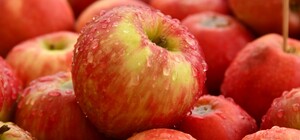 Яблучний спас 2020: звичаї, традиції, забобони 