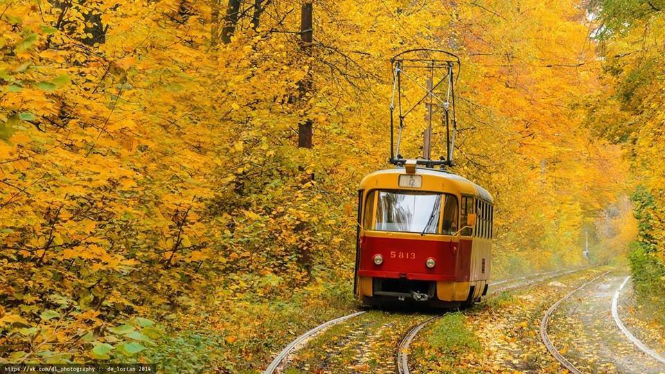 Новость - Транспорт и инфраструктура - В Пущу-Водицу временно не будет ходить трамвай