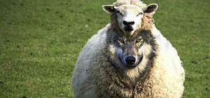 Кассиры-оборотни: в Киеве появился новый вид мошенничества в обменниках валюты