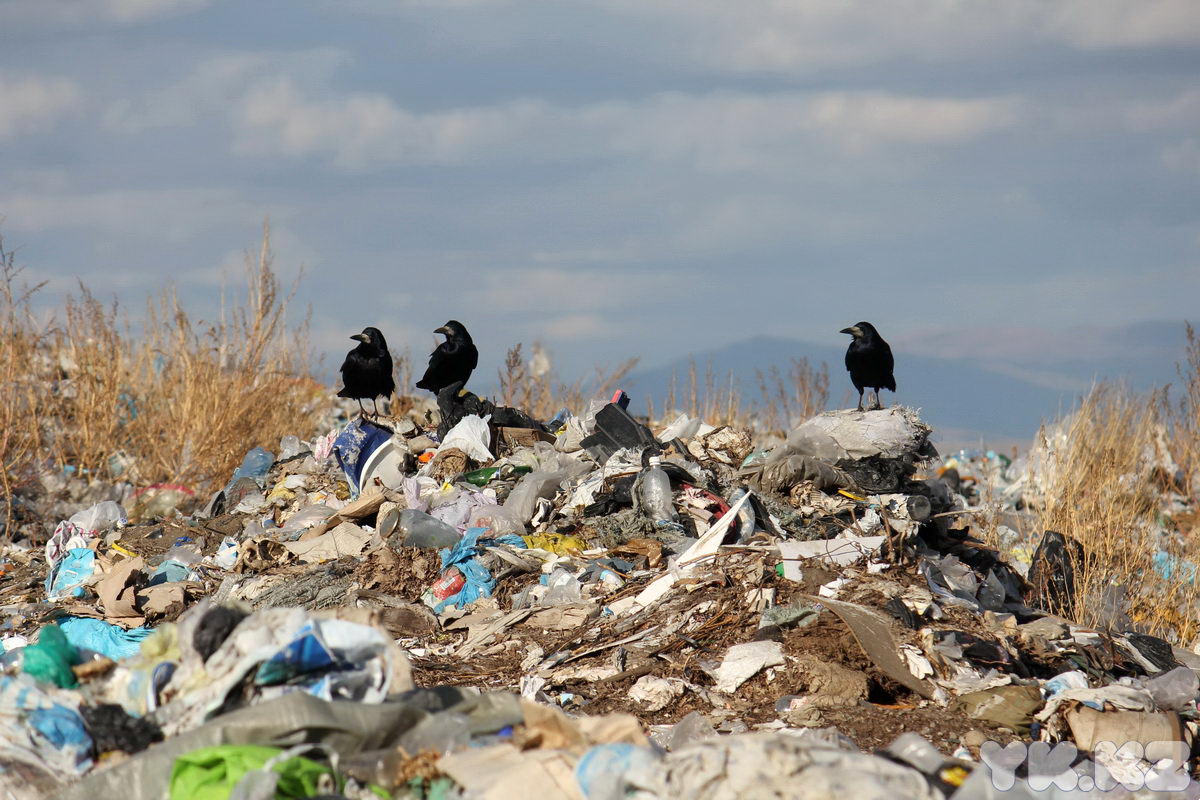 Новость - События - Как в трущобах: киевляне навалили гору мусора на Позняках
