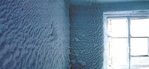 Фотофакт: студенты университета Шевченко замерзли и провели смешную акцию протеста