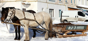 Не прошло и года: пригородная маршрутка подорожает второй раз за 50 дней