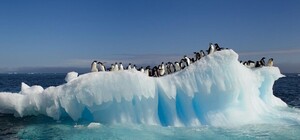 Фотофакт: в Киеве снимали с льдины 10 рыбаков