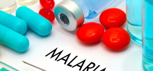 Съездили: в Запорожье двое заводчан привезли малярию