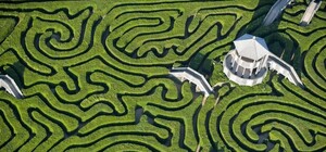 Не потеряйся: в центре Киева установят гигантский лабиринт