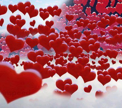 Новость - События - Всем любви: "Киевпасстранс" выполнил свое обещание на День святого Валентина