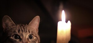 Звездная ночь: узнай почему вчера не было света в Бортничах и Осокорках