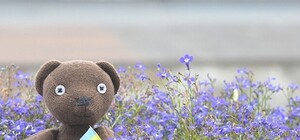 Киев до полудня: что пишут и говорят о городе утром 15 февраля