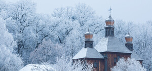 Вот деревня: зимнее 