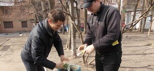 Подбай про природу: львів'ян закликали не купувати первоцвіти та скаржитись на продавців