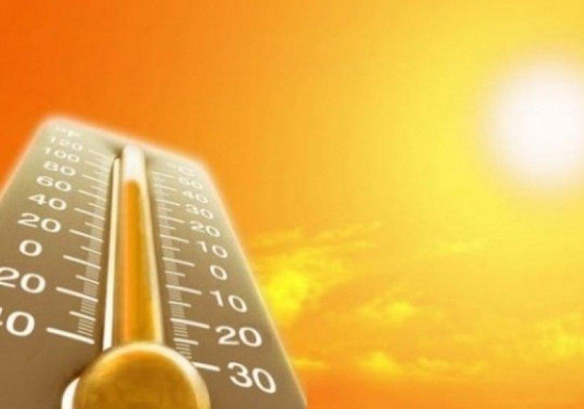 Новость - События - Теплее некуда: сегодня в Киеве зарегистрирована рекордная температура