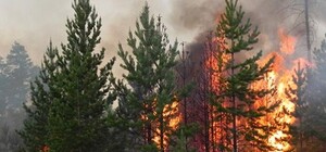 Таинственный огонь: горело самое мистичное место Киева