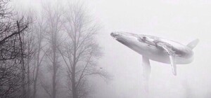 Никак не утонут: в киевских школах начали бороться с 