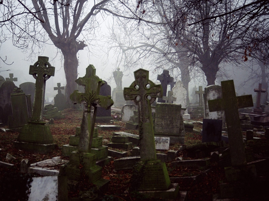 Новость - События - Темная история: вокруг Лукьяновского кладбища разгорелся скандал