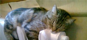 Не мерзни: у Львові продовжили опалювальний сезон